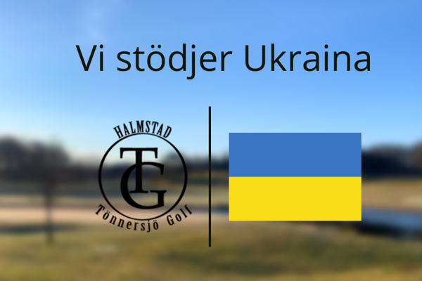 Kriget i Ukraina