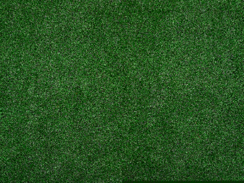 Välkommen till vårens städdag!